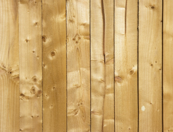 White Pine White Pine