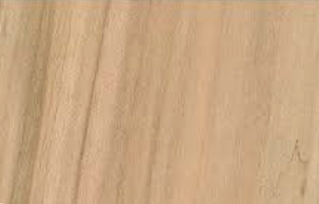 Soft Maple Soft Maple